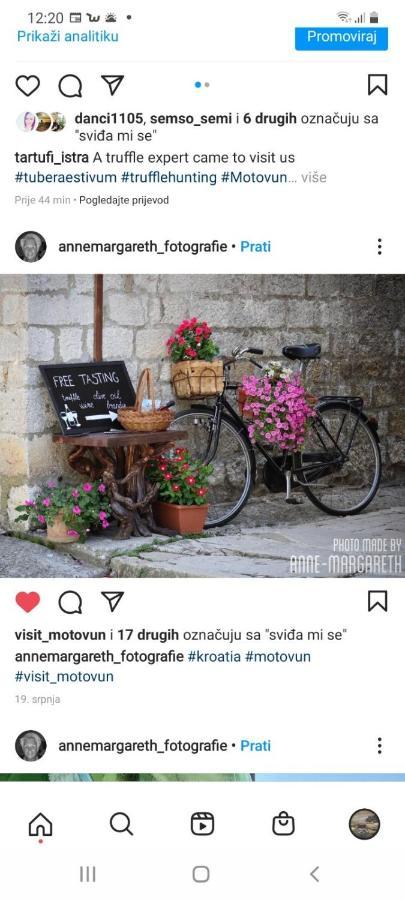 Bed & Breakfast Antico Мотовун Екстер'єр фото