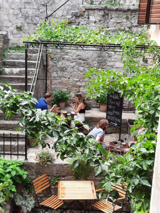 Bed & Breakfast Antico Мотовун Екстер'єр фото